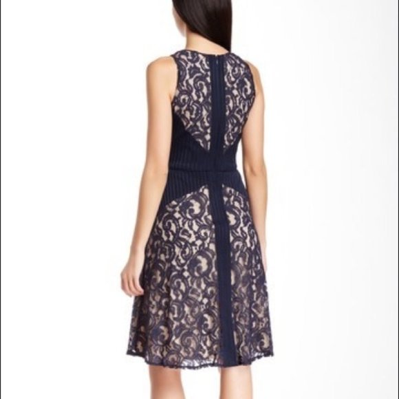 {The Limited} Navy Stretch Lace Fit n Flare Dress - Picture 2 of 8